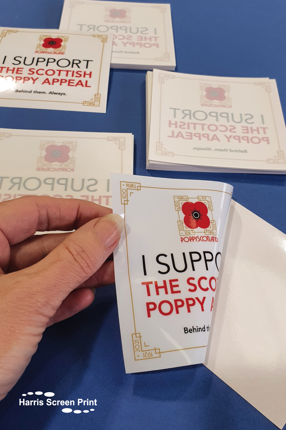 Scottish Poppy Appeal window stickers printed